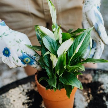 5 Hobi Menyenangkan dan Sehat yang Bantu Turunkan BB Tanpa Harus ke Gym