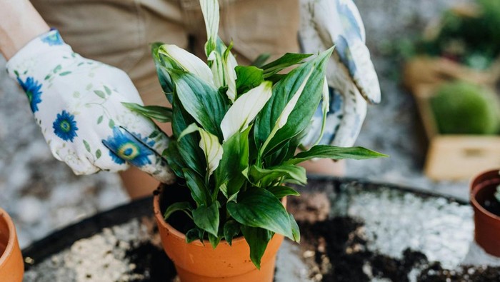 5 Hobi Menyenangkan dan Sehat yang Bantu Turunkan BB Tanpa Harus ke Gym