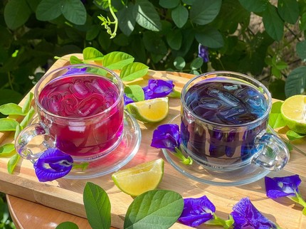 7 Resep Minuman Bunga Telang yang Punya Banyak Manfaat!