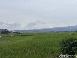 Disasarin Google Maps ke Sawah, Perjalanan Arus Balik Ini Berasa Naik Roller Coaster!
