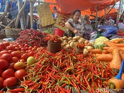 Harga Cabai Rawit di Parepare Tembus Rp 300 Ribu/Kg Usai Lebaran