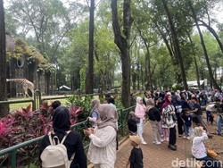 Cerita Warga Bekasi Ajak Puluhan Keluarganya ke Ragunan Habiskan Sisa Libur