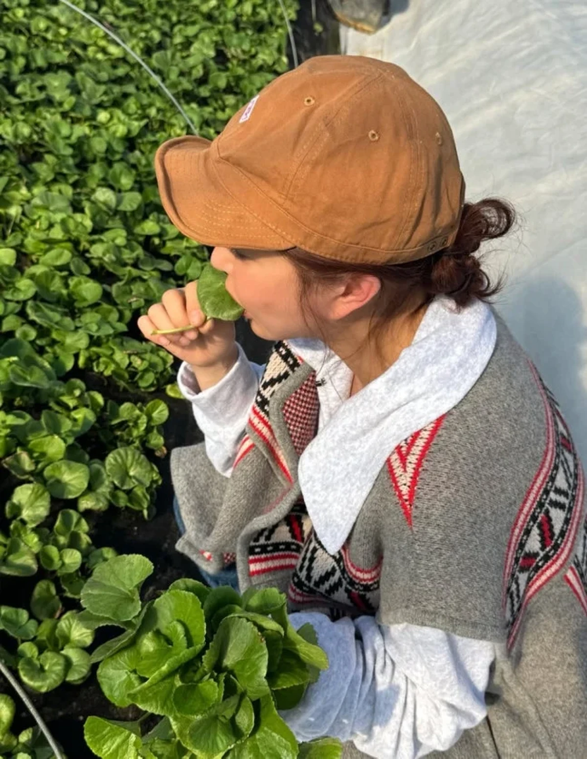 Deretan idol KPop yang telah beralih profesi&period;