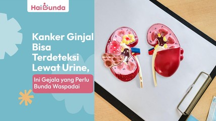 Detik Network