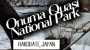 Video: The Magical Hakodate: Sensasi Mancing Ikan di Danau Es Jepang!