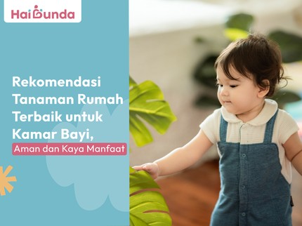 Rekomendasi Tanaman Rumah Terbaik untuk Kamar Bayi, Aman dan Kaya Manfaat