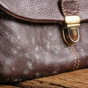 4 Cara Membersihkan Tas yang Jamuran, Jangan Langsung Dibuang!