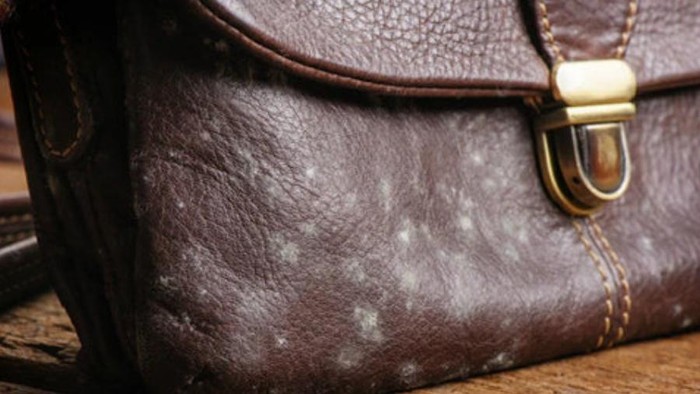 4 Cara Membersihkan Tas yang Jamuran, Jangan Langsung Dibuang!