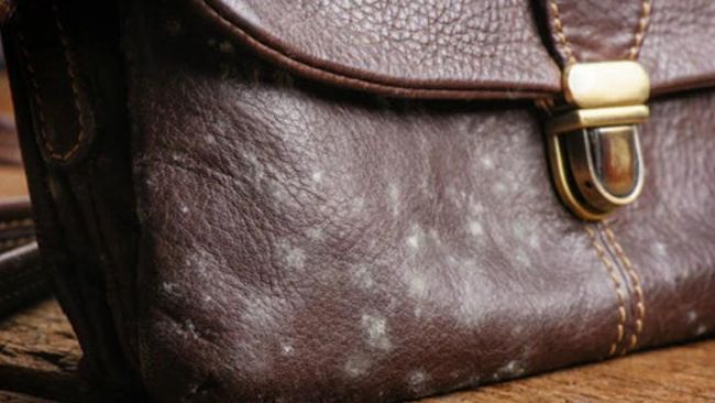 Cara Membersihkan Tas yang Jamuran