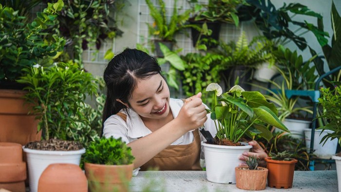 Tetap Berkreasi, 4 Metode Menanam di Lahan Sempit yang Bisa Dicoba Pemula