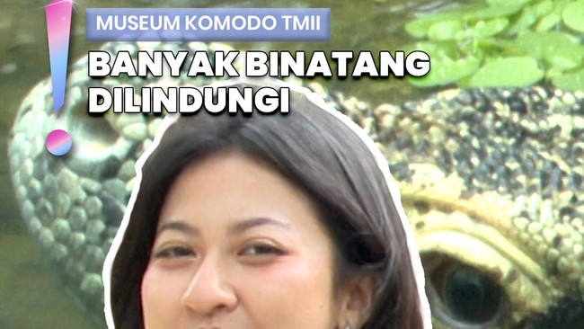 Video: Berkunjung ke Museum Komodo di TMII, Hewan yang Hanya Ada RI