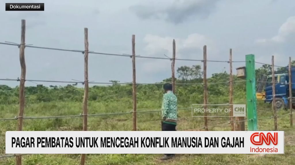 VIDEO: Pagar Pembatas Untuk Mencegah Konflik Manusia dan Gajah