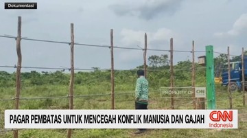 VIDEO: Pagar Pembatas Untuk Mencegah Konflik Manusia dan Gajah