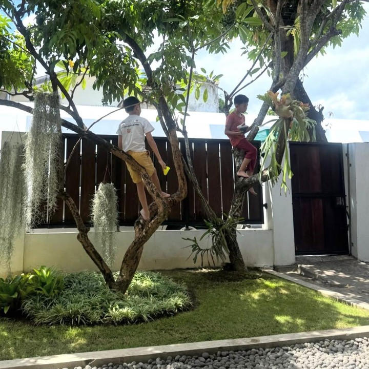 <p>Saat tiba di Yogyakarta, Zaskia membagikan momen ketika anak-anaknya tengah asyik naik pohon di depan rumah. "Kalo udah di Jogja, nanya anak-anak &ldquo;Mau kemana hari ini?&rdquo; &ldquo;Dirumah aja plisss Biaa&rdquo;. Alhamdulillah, Bia pun maunya gitu," ungkap Zaskia. (Foto: Instagram @zaskiadyamecca)</p>