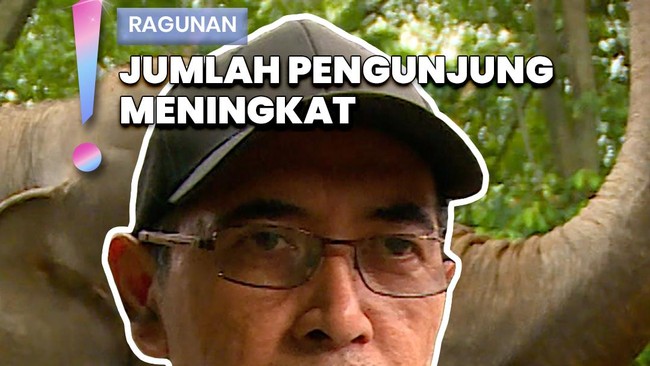 Video: Pengunjung Tembus Puluhan Ribu, Ini Spot Ragunan Paling Favorit