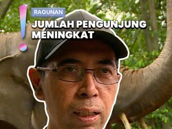 Video: Pengunjung Tembus Puluhan Ribu, Ini Spot Ragunan Paling Favorit