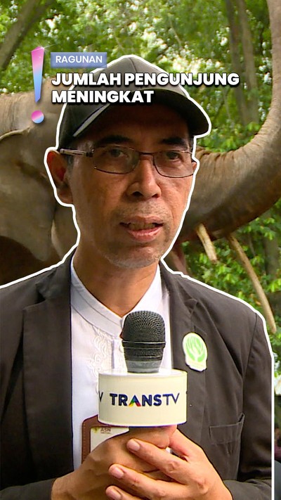Video: Pengunjung Tembus Puluhan Ribu, Ini Spot Ragunan Paling Favorit