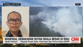 VIDEO: Waspada, Kebakaran Hutan Skala Besar di Riau