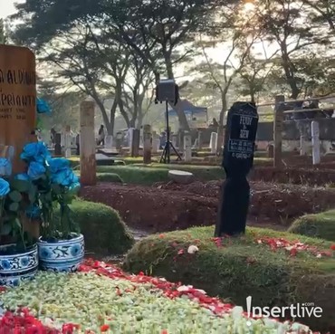 Mawar Biru Hiasi Makam Vidi Aldiano di Hari Ultah, Ini Maknanya