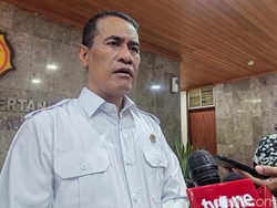 Stok Beras RI 4,5 Juta Ton, Diklaim Tertinggi Sepanjang Sejarah