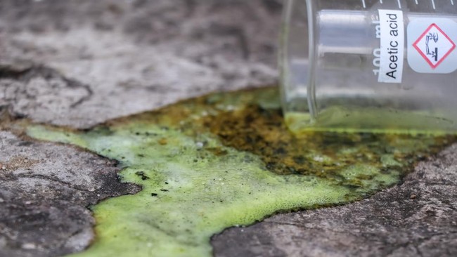 Polisi menangkap tiga pelaku penyiraman air keras di Bekasi, diotaki tetangga korban. Motifnya sakit hati, di mana korban mengalami luka bakar serius.