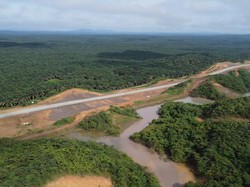 Pentingnya HCV di Perkebunan Sawit