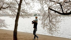 Tren Wisata Kini Bukan Banyak Tempat Dikunjungi, tapi Makna Perjalanan