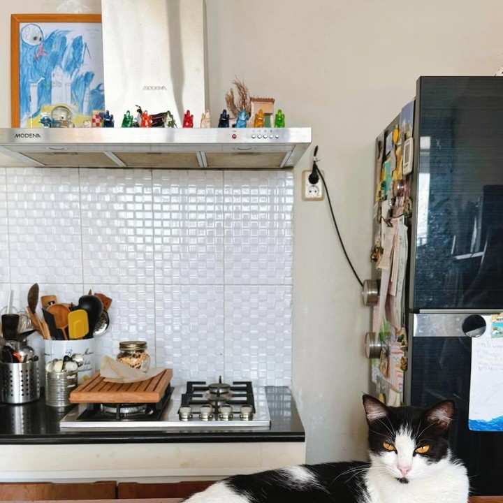 <p>Istri Eross, Sarah, sering membagikan sudut dapur rumahnya di Yogyakarta saat membuat konten memasak. Dapur ini terlihat begitu rapi dengan banyak furnitur dan alat masak yang terbuat dari kayu serta bahan stainless steel. Salah satu yang juga mencuri perhatian adalah hiasan <em>action figure</em> kecil yang diletakkan di rak atas kompor. (Foto: Instagram @sarahcandra)</p>