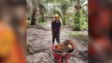 Kementan: Hilirisasi CPO Tekan Impor Solar-Perkuat Ekonomi Nasional