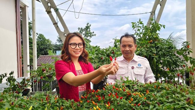 Nama YouTuber Mgdalenaf Resmi Diabadikan Jadi Cabai Super Pedas dari IPB