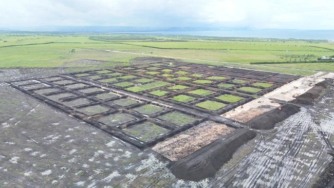 4.796 Warga RI Lamar Loker di Proyek Tambak Udang Raksasa di NTT