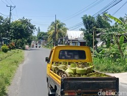 Gas LPG Langka, Warga Lombok Timur Minta Bupati Turun Lapangan