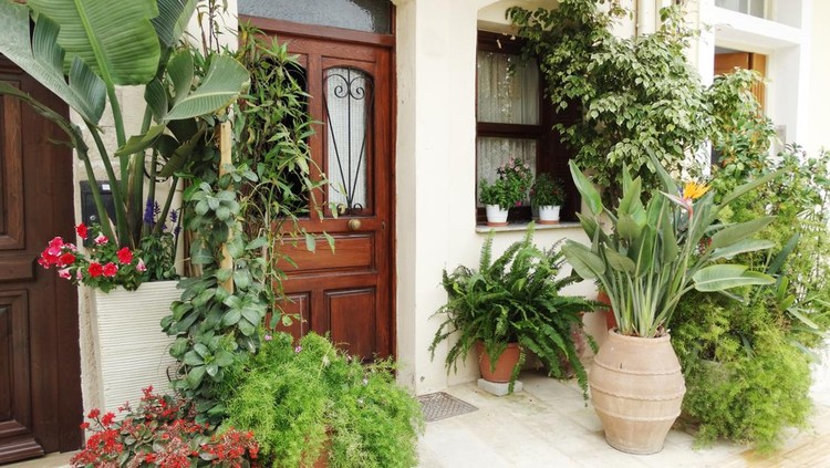 door architecture detail in house building with bougainvillaea Greece