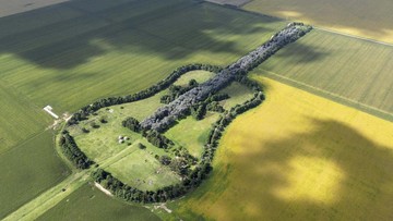 FOTO: Kebun Gitar Raksasa di Argentina jadi Simbol Cinta Abadi