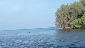 Penampakan Tsunami 0,3 M di Halmahera Barat usai Gempa M7,6 Sulut