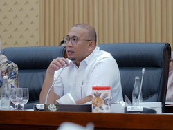 Andre Rosiade Dorong Pelindo Bangun Industri CPO untuk Selamatkan Ekonomi Sumbar