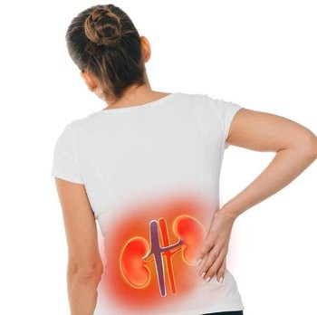 Waspada! 7 Makanan yang Menjadi Pemicu Gagal Ginjal