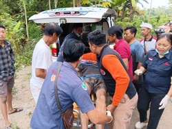 Terpeleset Saat Buang Sampah, Kakek 70 Tahun di Klungkung Jatuh dari Tebing