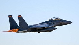 Pakar Ungkap Arti Penting Ditembak Jatuhnya Jet Tempur AS oleh Iran