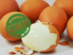 Penting! Tips Menyimpan Telur Rebus di Kulkas Agar Lebih Tahan Lama