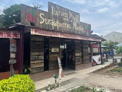 Wisata Instagramable yang Lagi Hits di Sibolangit, Surganya Pecinta Stroberi