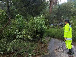 Longsor Ganggu Akses Pudak-Pulung Ponorogo, Pengendara Diminta Hati-hati