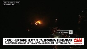 VIDEO: 1.660 Hektare Hutan California Terbakar Hebat