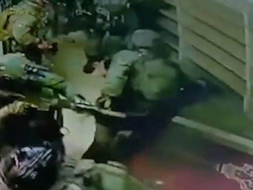 Detik-detik Anjing IDF Serang Pria Palestina di Masjid Tepi Barat