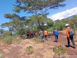 Kakek Hilang di Hutan Baluran Situbondo saat Menggembala Sapi
