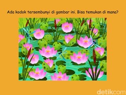 Bisa Temukan Objek Tersembunyi di Gambar Ini? Kalau Matanya Jeli Sih Pasti Easy