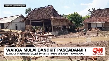 VIDEO: Warga Demak Mulai Bangkit Pascabanjir