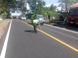 Pasutri Senggol Fuso di Jalan Denpasar-Gilimanuk, Istri Tewas Terlindas