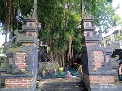 Umbul Sigedhang dan Kapilaler Warisan Mata Air Mataram Hindu