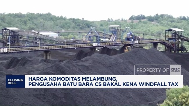 Video: Pengusaha Batu Bara CS Bakal Kena Windfall Tax